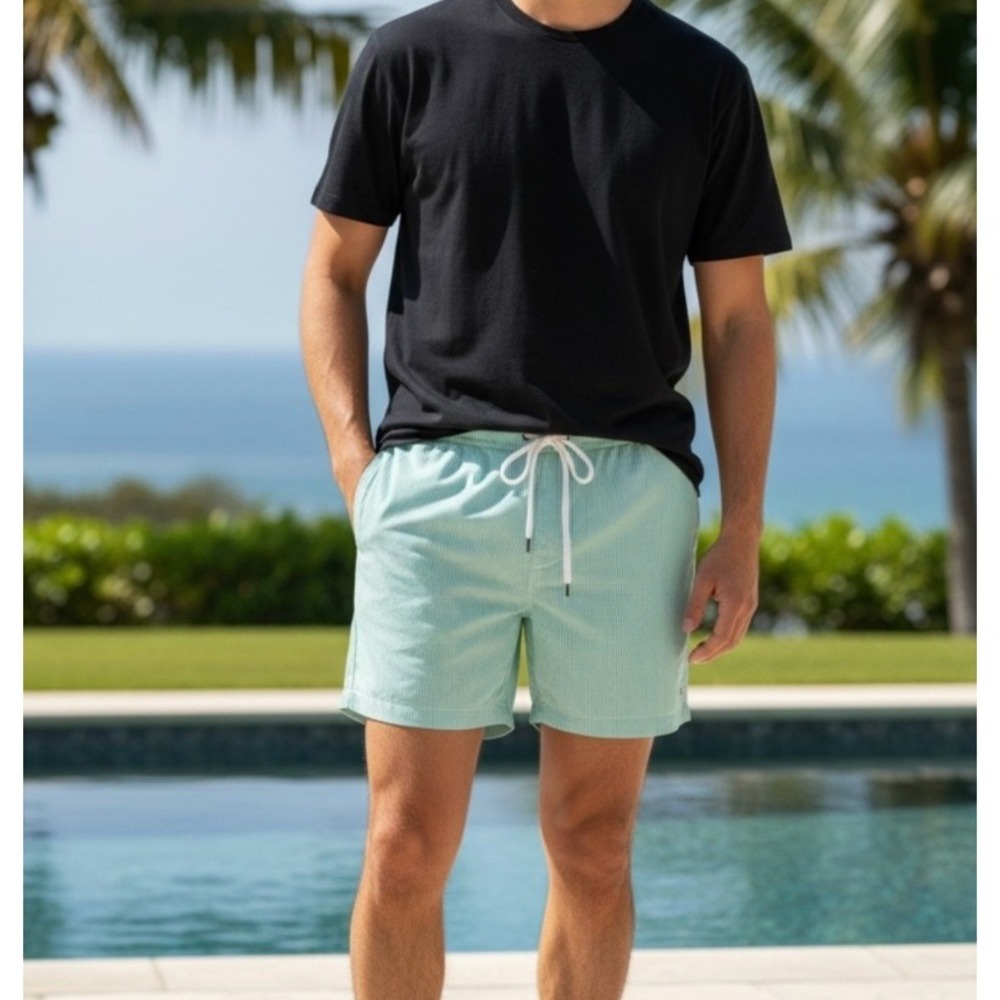 Onia The Charles Seersucker Stripe‎ Swim Shorts S